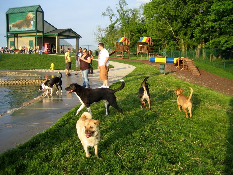 Cincinnati Wags Park