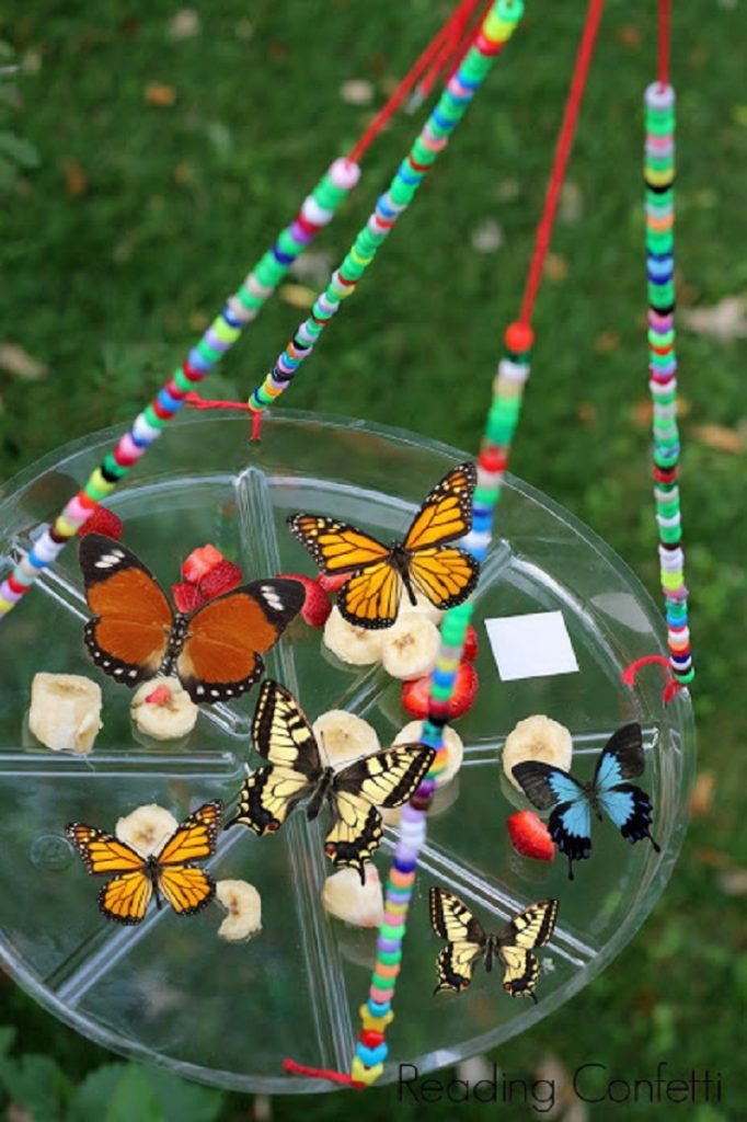 Easy Kid Craft Butterfly Feeder