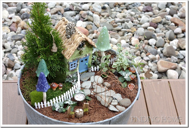 Fairy Garden