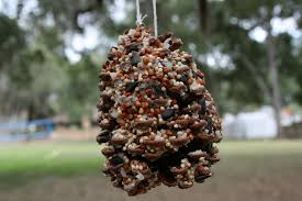 Pine Cone Bird Feeder